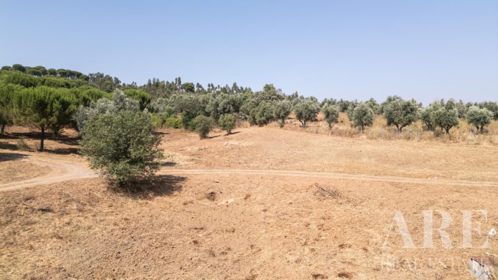 Farmhouse 1-bedroom for sale in Álcacer do Sal, Alcacer do Sal, Setubal