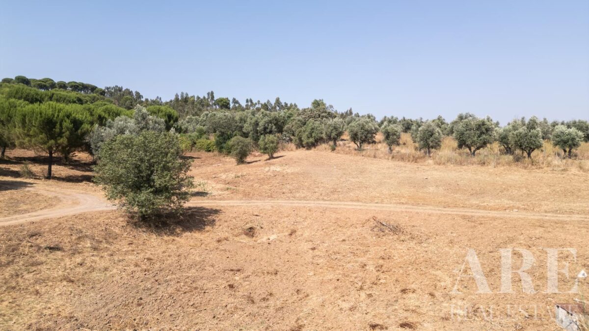 Farmhouse 1-bedroom for sale in Álcacer do Sal, Alcacer do Sal, Setubal &bull; ARE35903