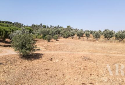 Farmhouse 1-bedroom for sale in Álcacer do Sal, Alcacer do Sal, Setubal