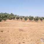 Farmhouse 1-bedroom for sale in Álcacer do Sal, Alcacer do Sal, Setubal - gallery image