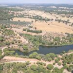 Farmhouse 1-bedroom for sale in Álcacer do Sal, Alcacer do Sal, Setubal - gallery image