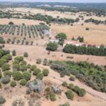 Farmhouse 1-bedroom for sale in Álcacer do Sal, Alcacer do Sal, Setubal - gallery image