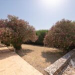 Farmhouse 1-bedroom for sale in Álcacer do Sal, Alcacer do Sal, Setubal - gallery image