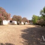 Farmhouse 1-bedroom for sale in Álcacer do Sal, Alcacer do Sal, Setubal - gallery image
