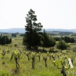 Farmhouse 8-bedroom for sale in Miranda do Corvo, Coimbra - gallery image