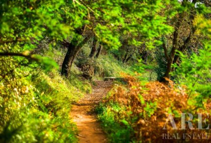 Plot for sale in Native., Belas Clube de Campo, Sintra, Lisbon