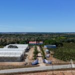 Farmhouse 4-bedroom for sale in Foros de Vale Figueira, Montemor-o-Novo, Évora &bull; ARE38096 - gallery image