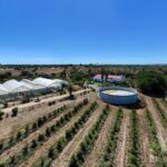 Farmhouse 4-bedroom for sale in Foros de Vale Figueira, Montemor-o-Novo, Évora &bull; ARE38096 - gallery image