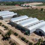 Farmhouse 4-bedroom for sale in Foros de Vale Figueira, Montemor-o-Novo, Évora &bull; ARE38096 - gallery image