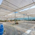 Farmhouse 4-bedroom for sale in Foros de Vale Figueira, Montemor-o-Novo, Évora &bull; ARE38096 - gallery image