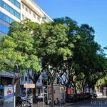 Apartment 3-bedroom for sale in Outubro 77, Avenidas Novas, Lisbon &bull; ARE38050 - gallery image