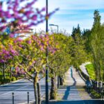 Apartment 2-bedroom for sale in Native, Belas Clube de Campo, Sintra, Lisbon - gallery image