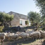 Farmhouse 9-bedroom for sale in Arraiolos, Évora &bull; ARE37899 - gallery image