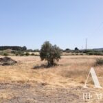 Country home for sale in Grandola, Setubal • ARE37376 - gallery image