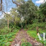 Farmhouse 9-bedroom for sale in Sintra, Lisbon - gallery image