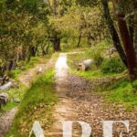 Land for sale in Belas Clube de Campo, Sintra, Greater Lisbon &bull; ARE39723 - gallery image