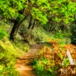 Apartment Studio for sale in Belas Clube de Campo, Sintra, Greater Lisbon &bull; ARE40161 - gallery image