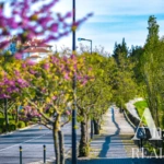 Apartment Studio for sale in Belas Clube de Campo, Sintra, Greater Lisbon &bull; ARE40161 - gallery image