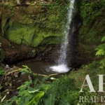 Land for sale in Mãe de Água,  São Miguel Island, Azores &bull; ARE40342 - gallery image