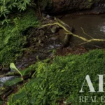 Land for sale in Mãe de Água,  São Miguel Island, Azores &bull; ARE40342 - gallery image
