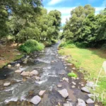 Land for sale in Mãe de Água,  São Miguel Island, Azores &bull; ARE40342 - gallery image