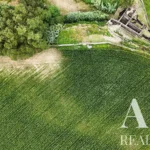 Land for sale in Mãe de Água,  São Miguel Island, Azores &bull; ARE40342 - gallery image