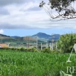 Land for sale in Mãe de Água,  São Miguel Island, Azores &bull; ARE40342 - gallery image