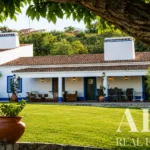 Farmhouse for sale in Alcáçovas, Viana do Alentejo, Évora &bull; ARE40756 - gallery image