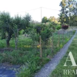 Land for sale in 2925-054 • ARE-41122 - gallery image