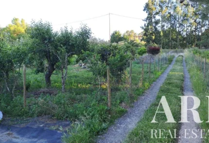 Land for sale in 2925-054 &bull; ARE-41122