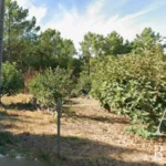 Land for sale in 2925-054 • ARE-41122 - gallery image