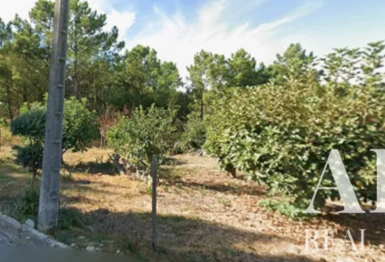 Land for sale in 2925-054 &bull; ARE-41122