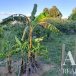 Land for sale in 2925-054 • ARE-41122 - gallery image