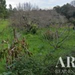 Land for sale in 2925-054 • ARE-41122 - gallery image