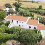 Villa 5-bedroom for sale in Dois Portos, Torres Vedras, Greater Lisbon • ARE-41238 - gallery image