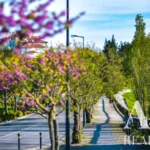 Apartment Studio for sale in Belas Clube de Campo, Lisbon &bull; ARE-41349 - gallery image
