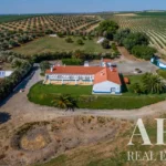 Farmhouse for sale in Ferreira do Alentejo, Beja &bull; ARE-41138 - gallery image