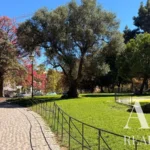 Apartment 2-bedroom for sale in Lisbon &bull; ARE-41688 - gallery image
