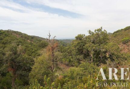 Farmhouse Studio for sale in Santiago do Cacem, Setubal