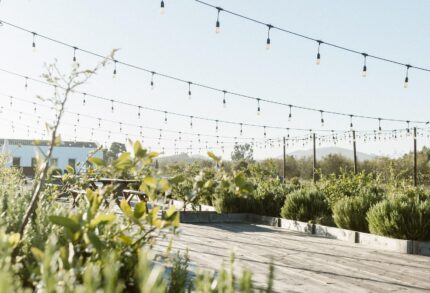 Apartment 1-bedroom for sale in Craveiral Farmhouse, São Teotónio, Odemira, Beja