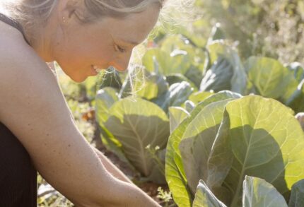 Apartment 1-bedroom for sale in Craveiral Farmhouse, São Teotónio, Odemira, Beja