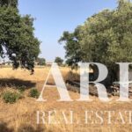 Plot for sale in Palmela, Setubal - gallery image